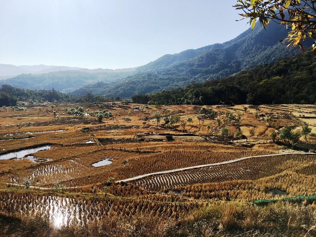 NAGALAND : THE LAND OF FESTIVALS