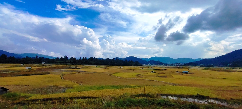 ZIRO : APATANI’S HEAVENLY ABODE